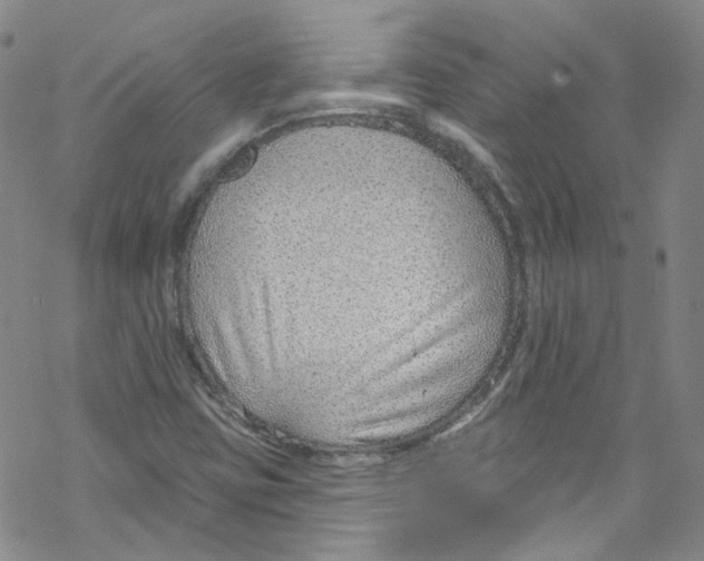 X0000067531403200605051908