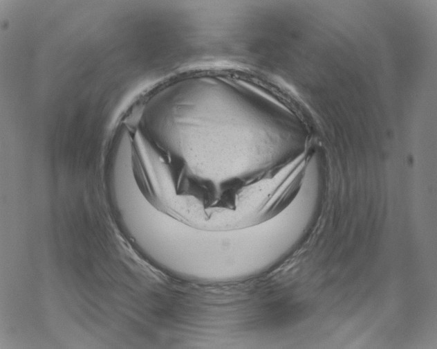X0000067531408200605051908