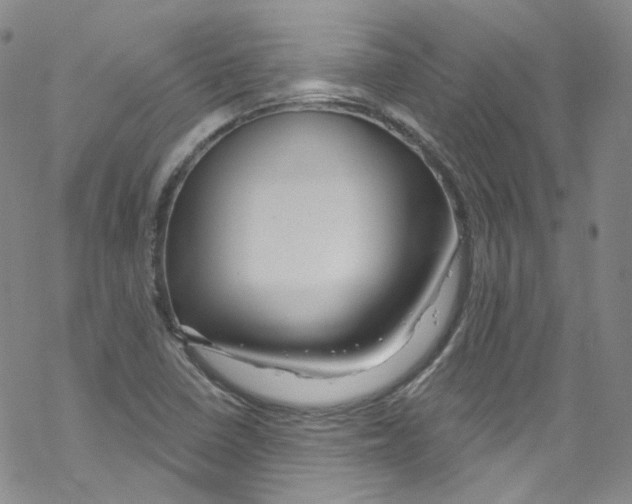 X0000067531410200605051908