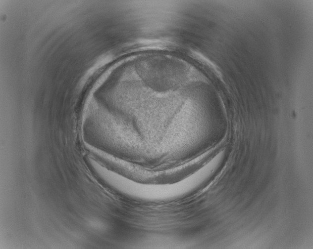 X0000067531411200605051908