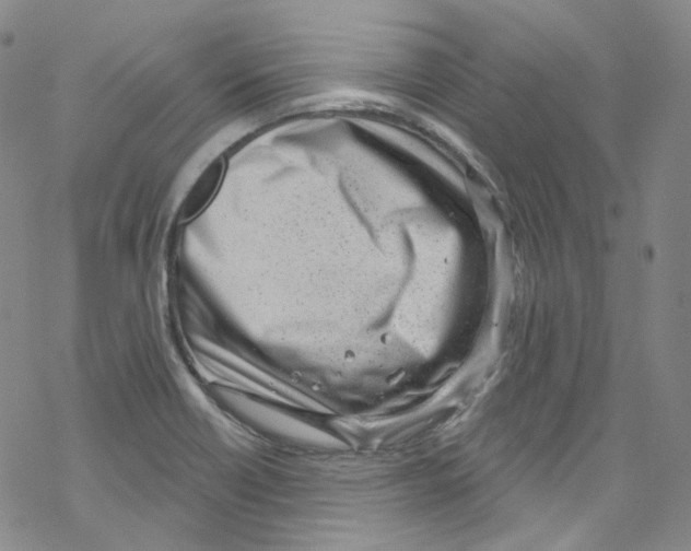 X0000067531418200605051908