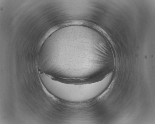 X0000067531433200605051908