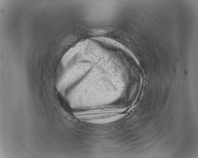 X0000067531441200605051908