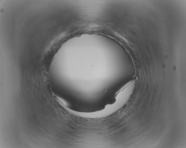 X0000067531447200605051908