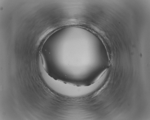 X0000067531453200605051908
