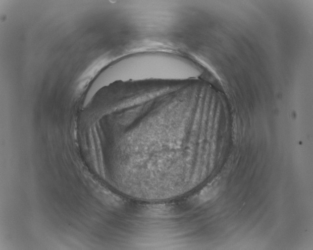 X0000067531455200605051908
