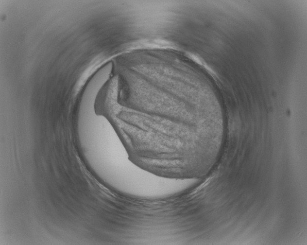 X0000067531459200605051907