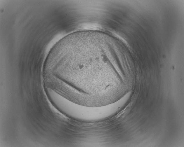 X0000067531471200605051907