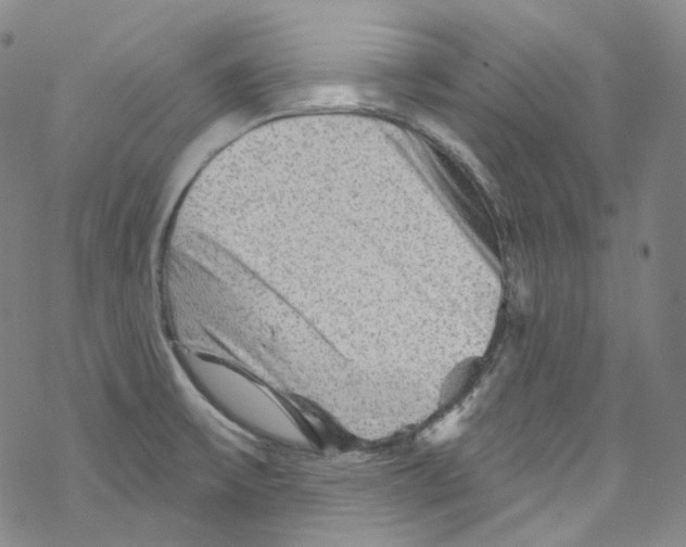 X0000067531475200605051907
