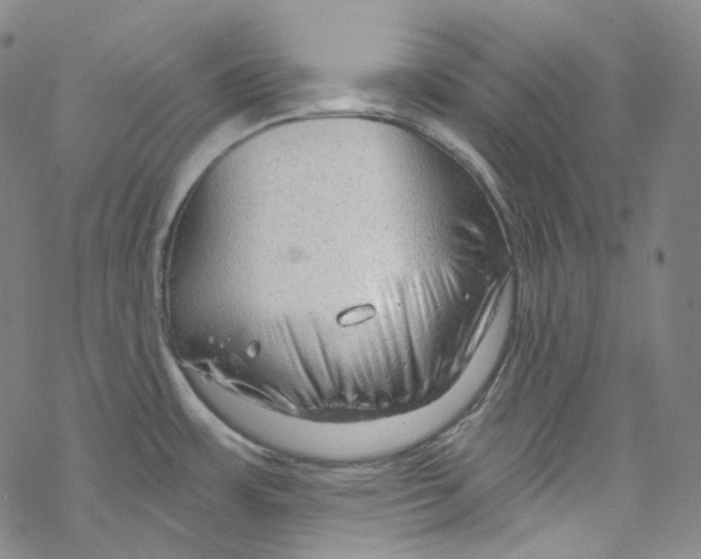 X0000067531483200605051907