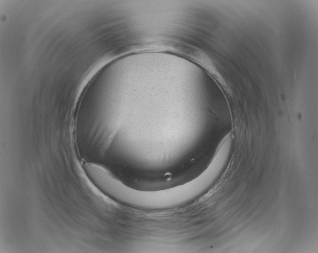 X0000067531484200605051907
