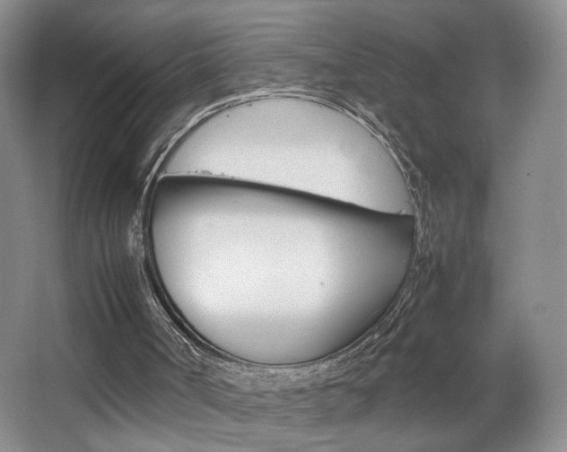 X0000067830002200604130930