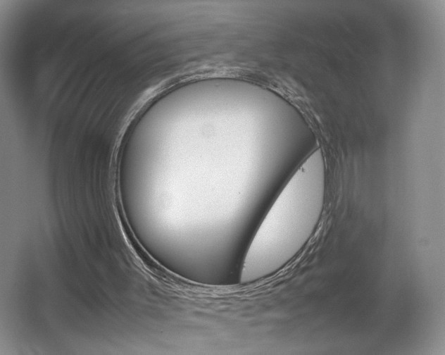 X0000067830003200604130930