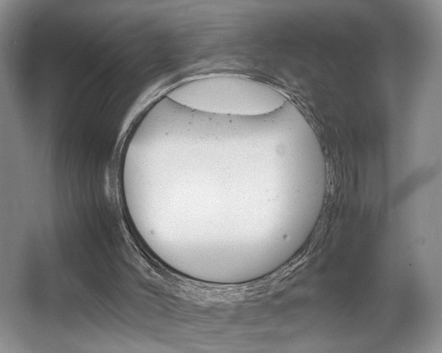 X0000067830004200604130930