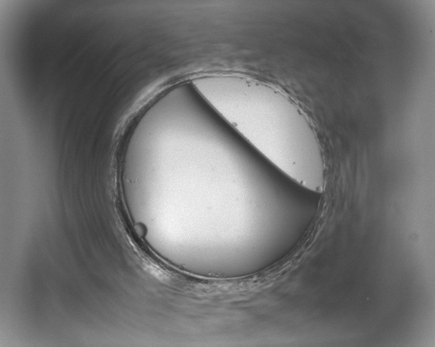 X0000067830005200604130930
