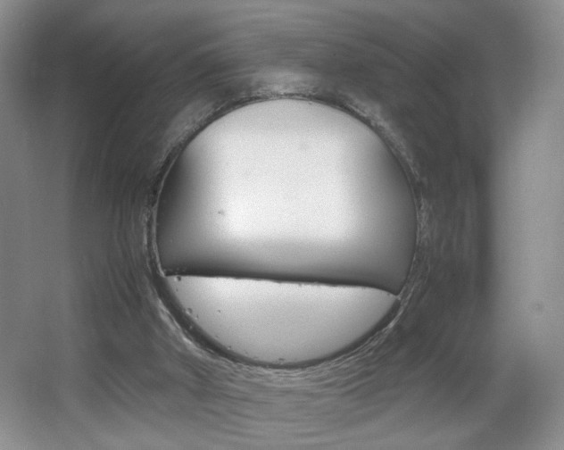 X0000067830010200604130930