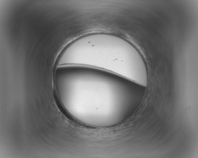 X0000067830011200604130930