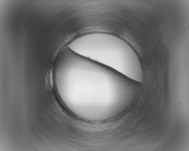 X0000067830014200604130930