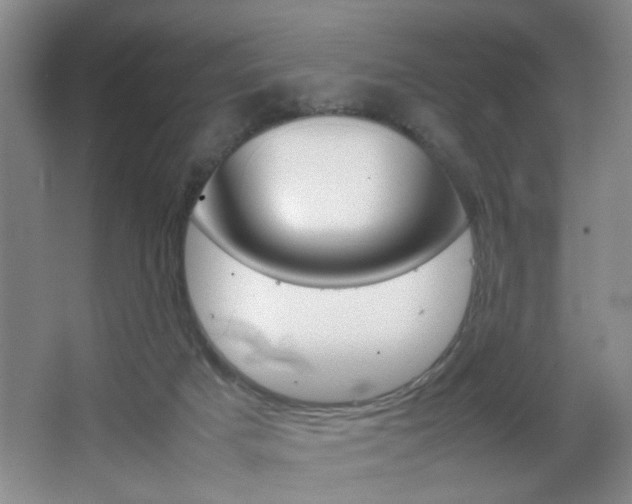 X0000067830025200604130930