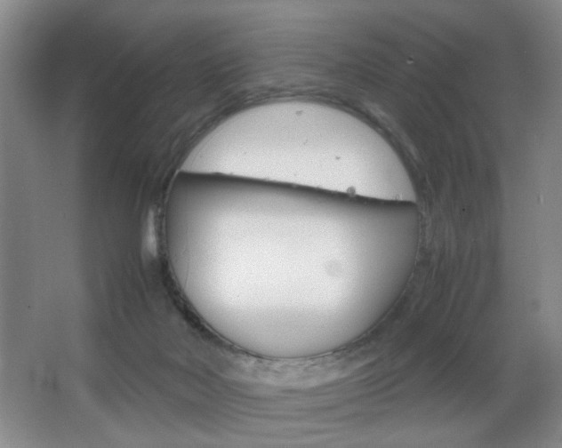 X0000067830026200604130930