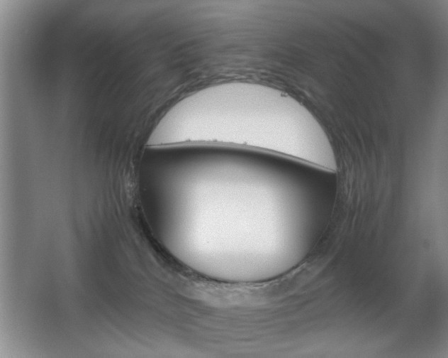 X0000067830040200604130930