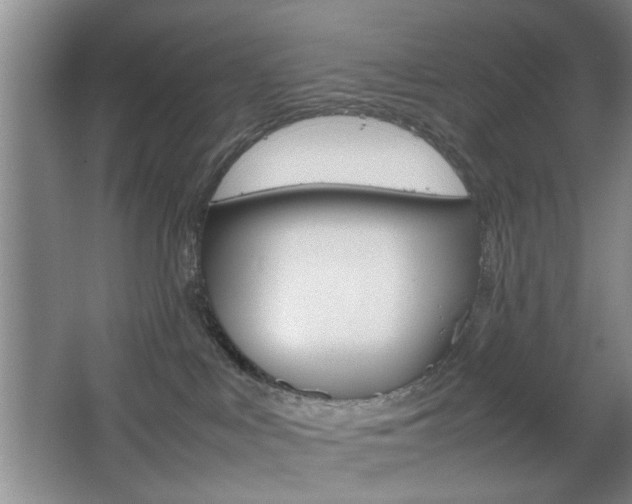 X0000067830043200604130930