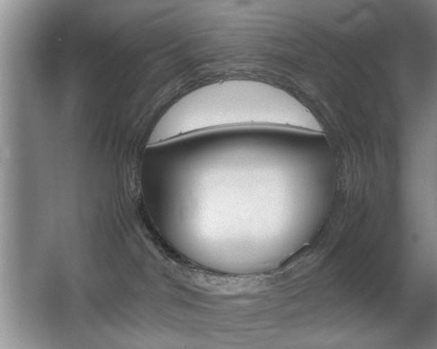 X0000067830044200604130930