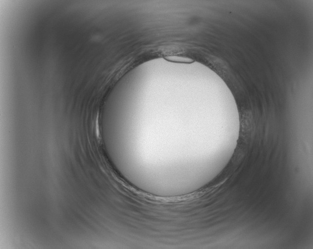 X0000067830046200604130930