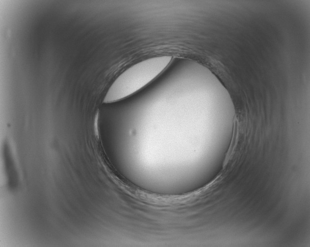 X0000067830047200604130930