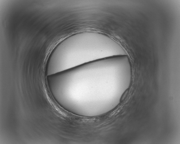 X0000067830049200604130929