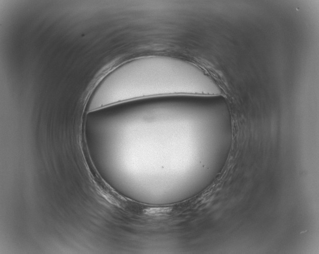 X0000067830051200604130929