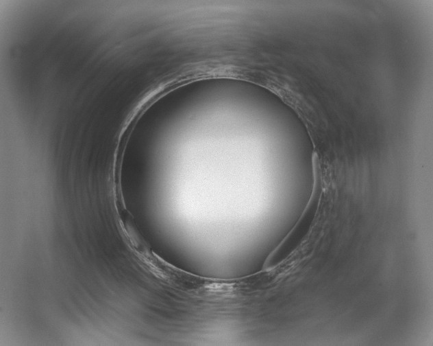 X0000067830052200604130929