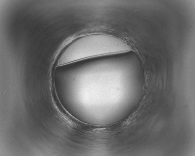X0000067830054200604130929