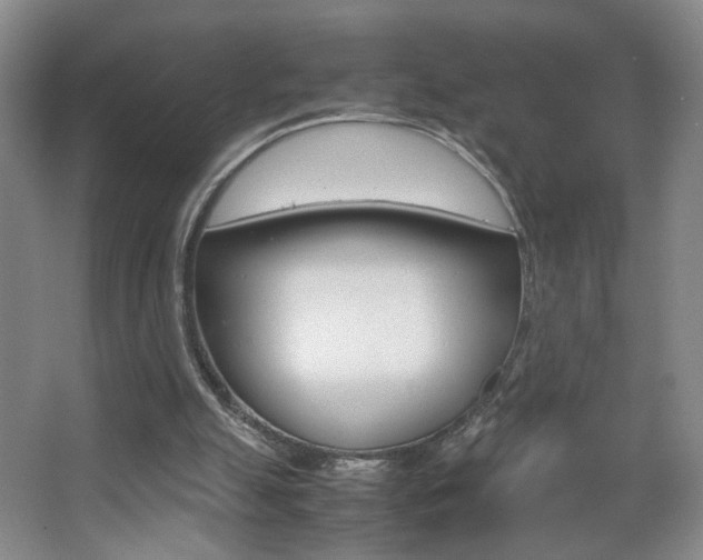 X0000067830055200604130929