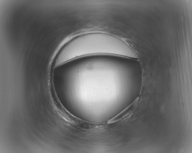 X0000067830056200604130929