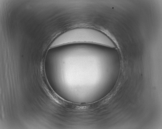X0000067830057200604130929