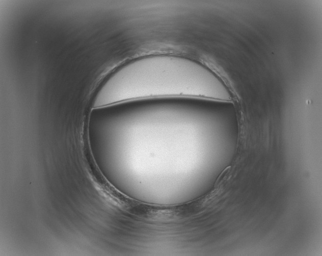 X0000067830058200604130929