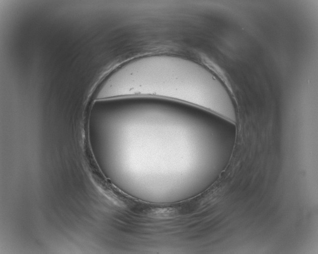 X0000067830059200604130929