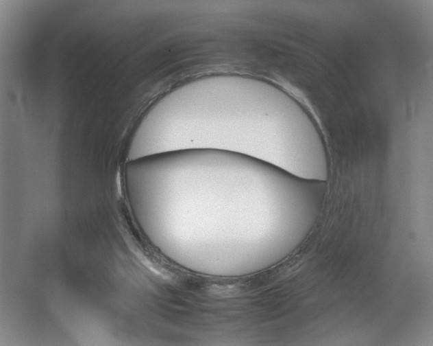 X0000067830061200604130929