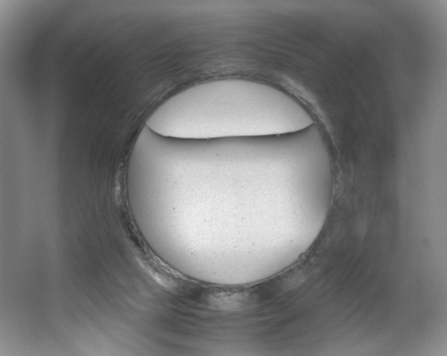 X0000067830065200604130929