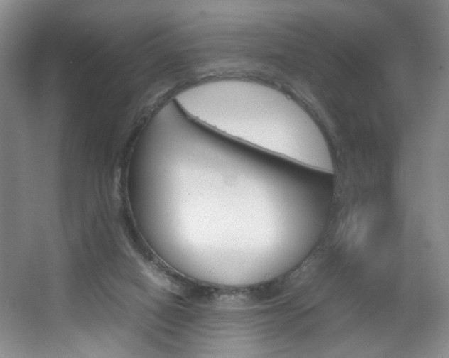X0000067830066200604130929