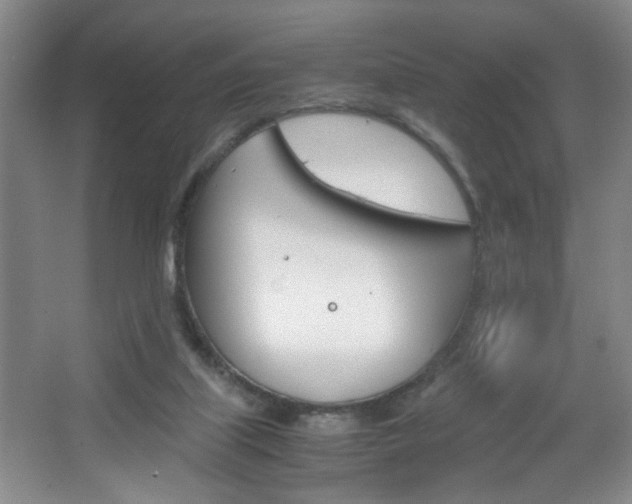 X0000067830067200604130929