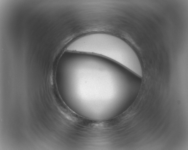 X0000067830068200604130929