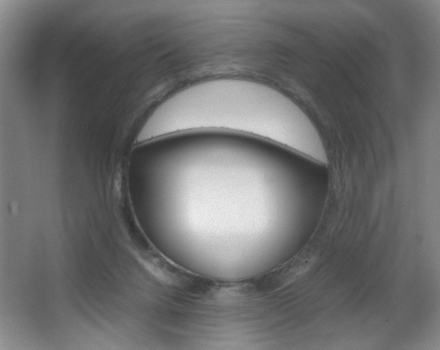 X0000067830072200604130929