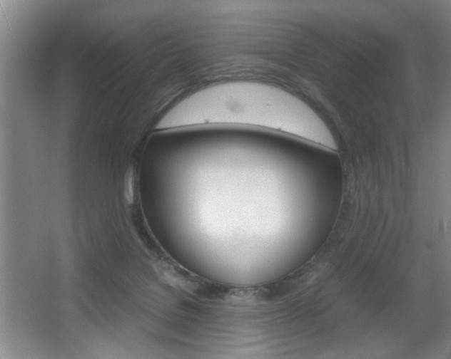 X0000067830076200604130929