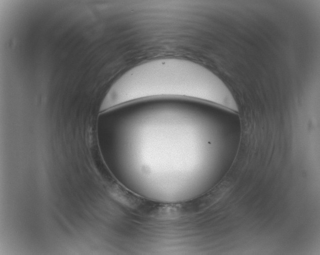 X0000067830080200604130929