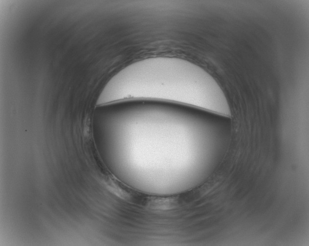 X0000067830081200604130929