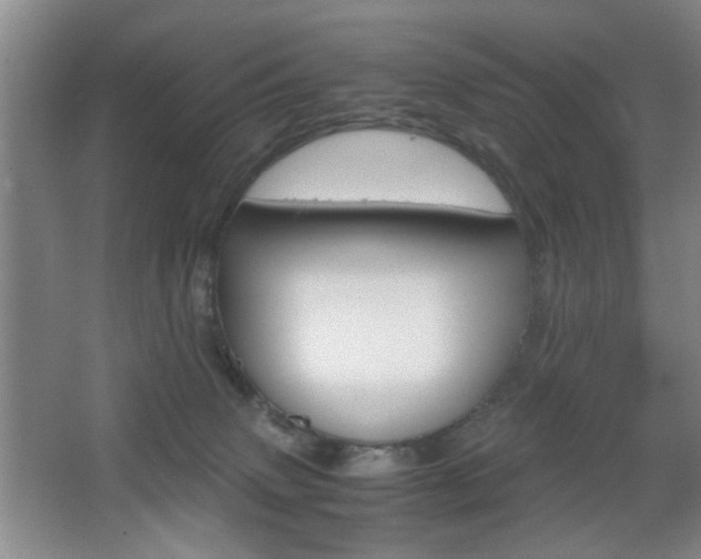 X0000067830083200604130929