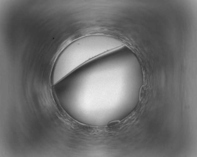 X0000067830099200604130929