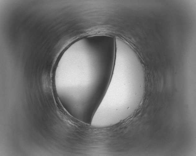 X0000067830100200604130929